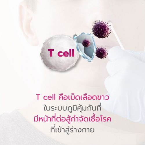 Tcellคืออะไร,ทีเซลล์มีหน้าที่อย่างไร
